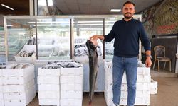 Kahramanmaraş balık üretiminde ilk sıralarda
