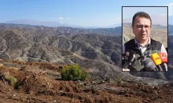 Kahramanmaraş’ta yanan ormanlar yeniden yeşerecek!