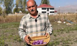 "Kırmızı altın" devrimi: Esnaflığı bıraktı, tarlada serveti buldu!