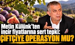 Metin Külünk'ten incir fiyatlarına sert tepki: Çiftçiye operasyon mu?