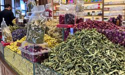 Mevsim geçişinde aktardan nane-limon ve kış çayı önerisi