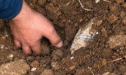 Topraktan gelen sesleri duydu, kazınca dehşete düştü