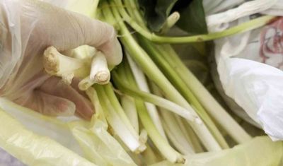 Mersin'de Doktor çiftin zor anları! Pazı olarak aldıkları ot, tirşik otu çıktı