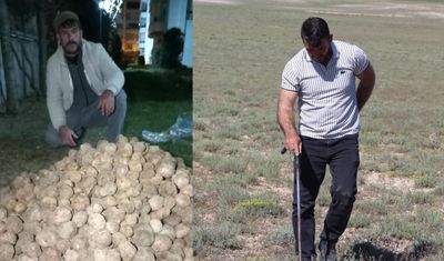 Kilosu 1700 lira... Günde 60 bin liralık mantar topluyor