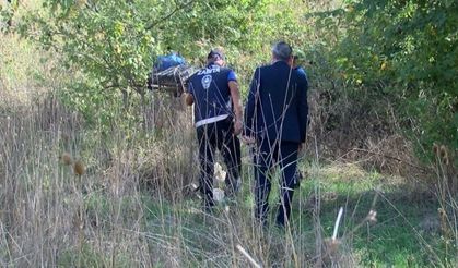 İstanbul'da ayı alarmı! Havadan ve karadan didik didik aranıyor