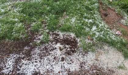 Afşin’de Dolu Tarım Arazilerine Zarar Verdi