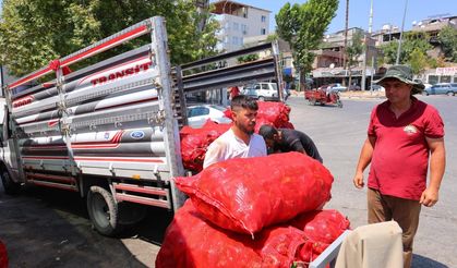 Güneşin altında kıpkırmızı emek: Maraş salçası