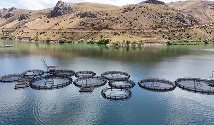 Denizsiz şehir somon üretiminde iddialı