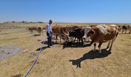 Kuş cenneti olarak bilinen göl kurudu