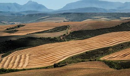 Kahramanmaraş’ta Kiralık Arazi Dönemi! Bakanlık Duyurdu