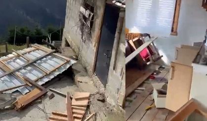 Rize yaylalarında ayı paniği: 20 ev talan edildi