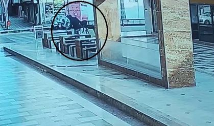 Suç makinesi önüne geleni satırla yaraladı, o anlar kameraya yansıdı