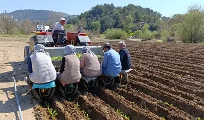Tarım işçisi yevmiyesi 1400 TL oldu