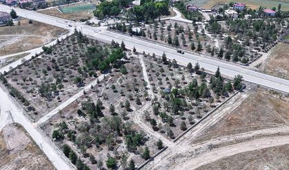 Büyükşehir'den kuzey ilçelerdeki mezarlıklara dev bakım