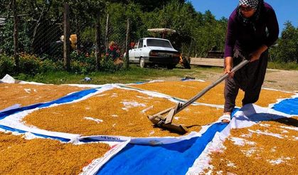 Kahramanmaraş’ta kışlık mesaisi başladı: Dev kazanlar yakıldı