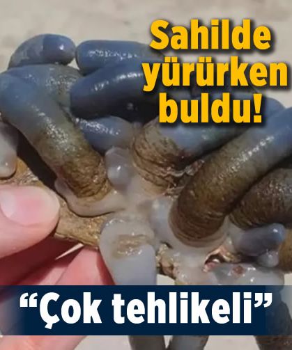 5 yaşındaki çocuk sahilde buldu! Sosyal medyadan paylaşınca viral oldu