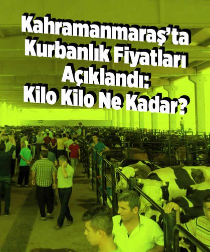 Kahramanmaraş’ta Kurbanlık Fiyatları Açıklandı: Kilo Kilo Ne Kadar?