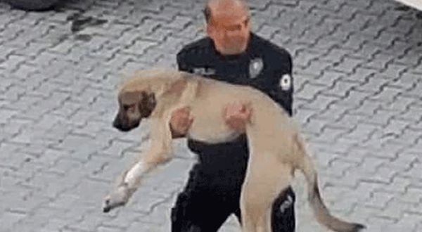 O halde görünce dayanamadı!