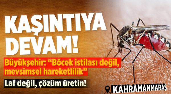 Eyvah! Sivrisinekler Kahramanmaraş'ı kasıp kavururken Büyükşehir'den açıklama geldi
