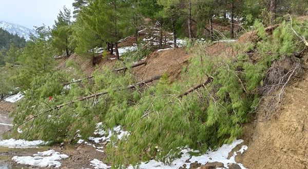 Kahramanmaraş'ta kar hayatı olumsuz etkiledi! Ağaçlar yerle bir oldu