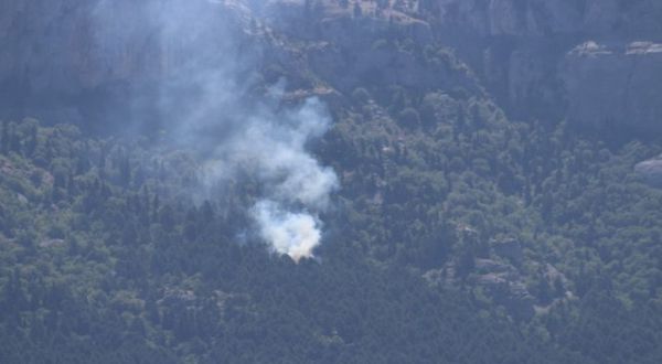 Adana'da orman yangını 