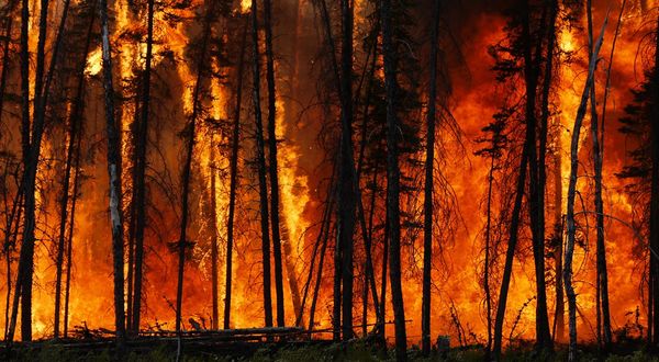 Büyük orman yangınları 2022 yazında tekrar edecek mi?