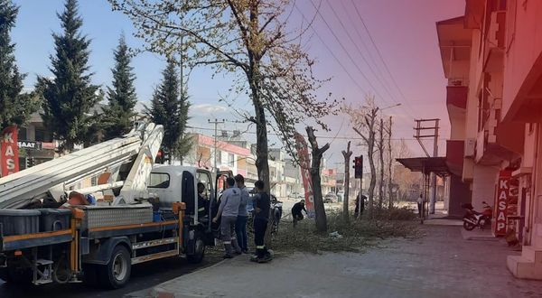 Kahramanmaraş'ta akedaş ağaçları katlederken mahalle halkı toplandı