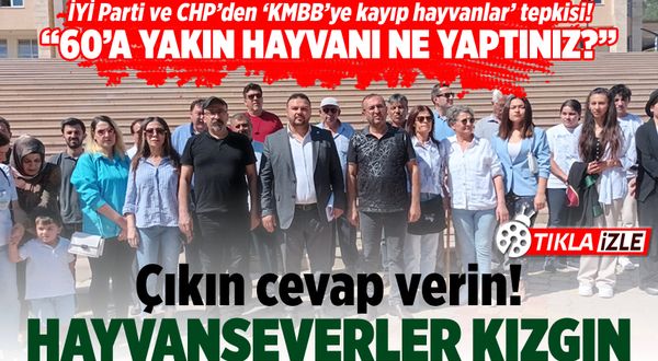 İYİ Parti ve CHP'den 'KMBB'ye kayıp hayvanlar' tepkisi! Hayvanseverler ayağa kalktı