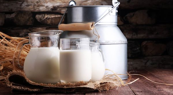 Süt krizi günden güne büyüyor! Üretici artan maliyetten şikayetçi