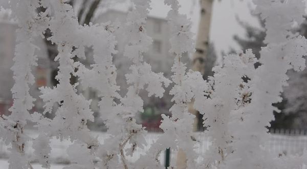 Sibirya soğukları hayatı olumsuz etkiliyor