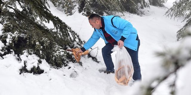 Kahramanmaraş'ta ekmekler çöp değil hayvanlara yem oldu