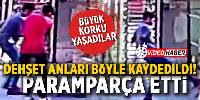 İstanbul'da 'pitbull' dehşeti! Paramparça etti