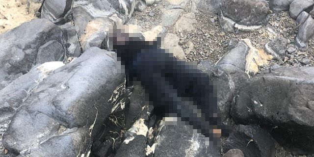Gaziantep'te eve gelmeyen çoban kayalıkların arasında ölü bulundu