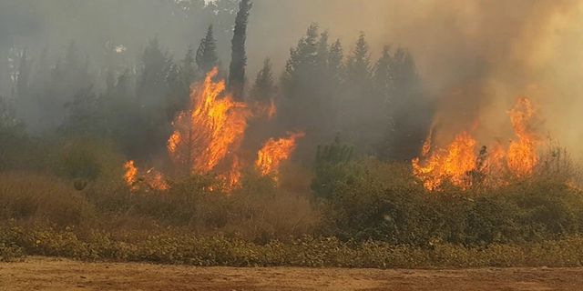 Kahramanmaraş orman yangınlarına müdahale