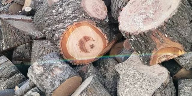Yozgat’ta kestiği ağacın gövdesinden ay yıldız figürü çıktı