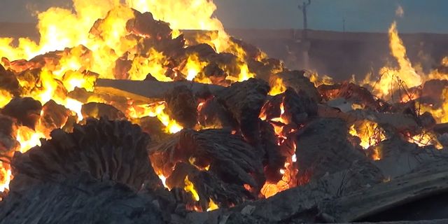 Kahramananmaraş'ta büyük fabrika yangının da hayvanlar unutuldu!