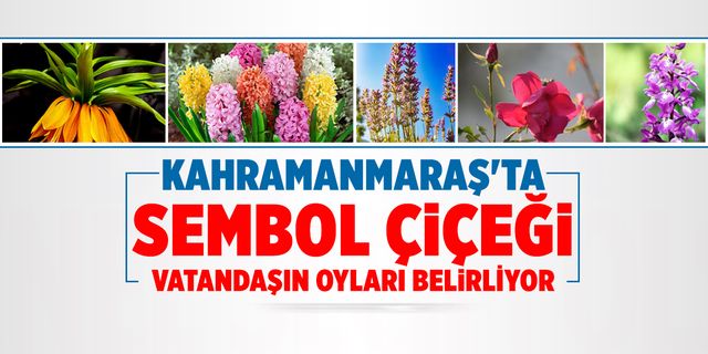 Kahramanmaraş’ta EXPO 2023 sembol çiçeği belirlemek için oylama devam ediyor