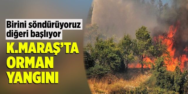 Kahramanmaraş'taki orman yangınında 1 hektarlık alan zarar gördü