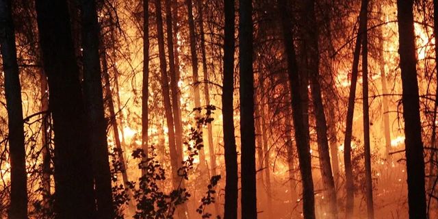 Seydikemer’de orman yangını çıkardığı iddiasıyla yakalanan zanlı tutuklandı