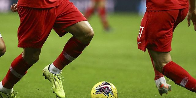 Türkiye-Norveç maçını Felix Brych yönetecek
