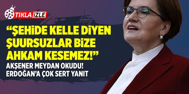 Meral Akşener'den Erdoğana 'Ahlak Şovalyesi' göndermesi