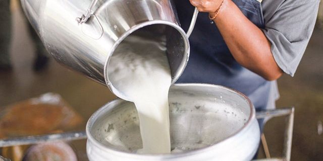Süt fiyatları için zam talebi: Üretici zarar ediyor