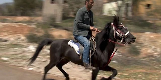 Zamlara daha fazla dayanamayan Kahramanmaraşlı jokey alışverişe atıyla çıkıyor