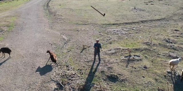 Tokat'ta yaylada drone gören çoban balta ile drone kovaladı