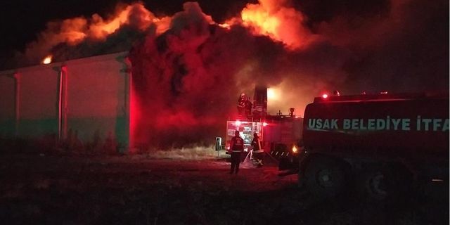 Uşak'ta depo yangını: Çok sayıda itfaiye ekibi müdahale ediyor