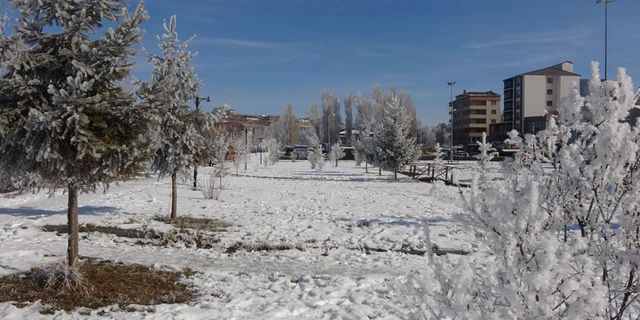Adeta buz kesti, eksi 28 dereceyi gördü! İşte Türkiye'nin en soğuk yeri