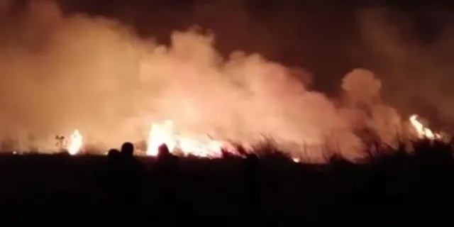 Osmaniye yangınından yürek yakan haber! Çok sayıda hayvan öldü