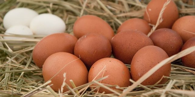 Kuş gribi salgını ve enflasyon: Yumurta fiyatları kanatlandı