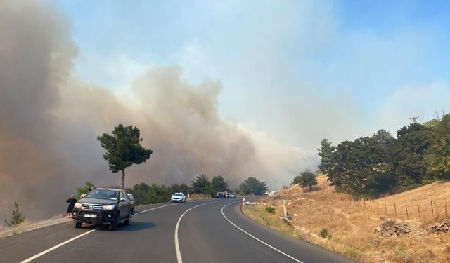 Çanakkale'de büyük orman yangını! 2 köy boşaltıldı