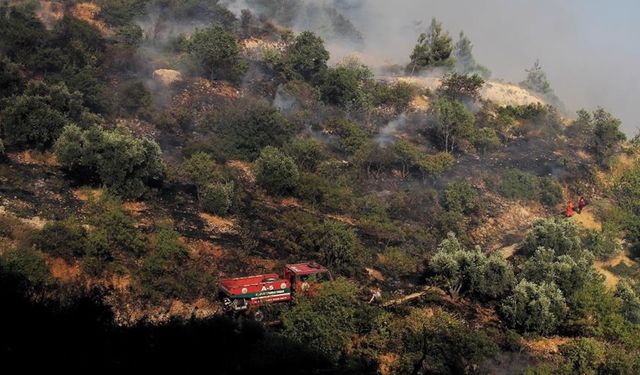 Kahramanmaraş'ta orman yangını kontrol altına alındı